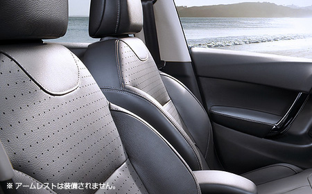 C3 レザーエディション