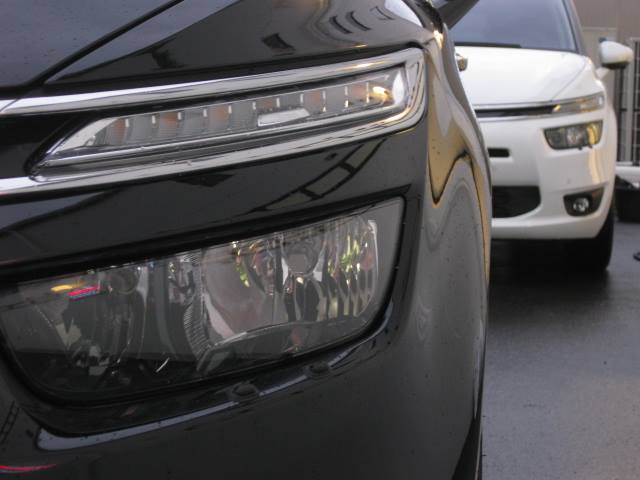 ピカソ軍団 笑）