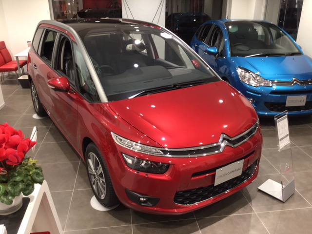 Special Christmas Offer 