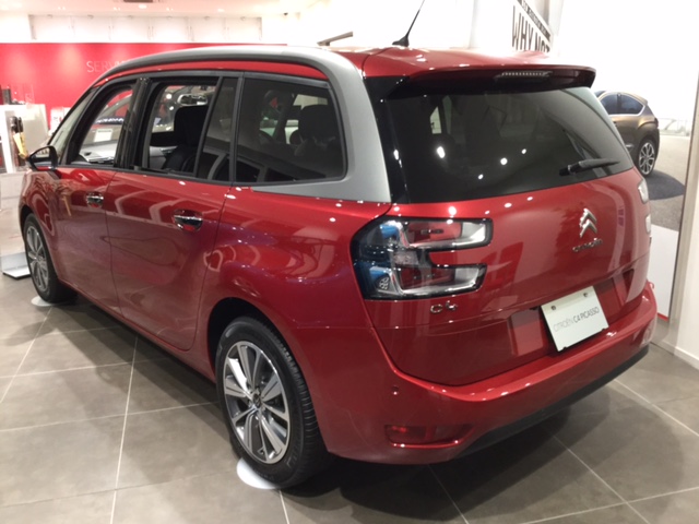 Special Christmas Offer 