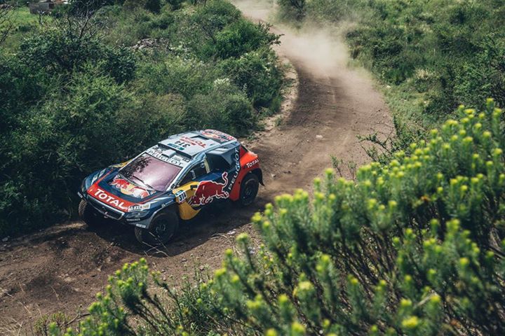 2016年のローブ様・・「ちょっとご案内」