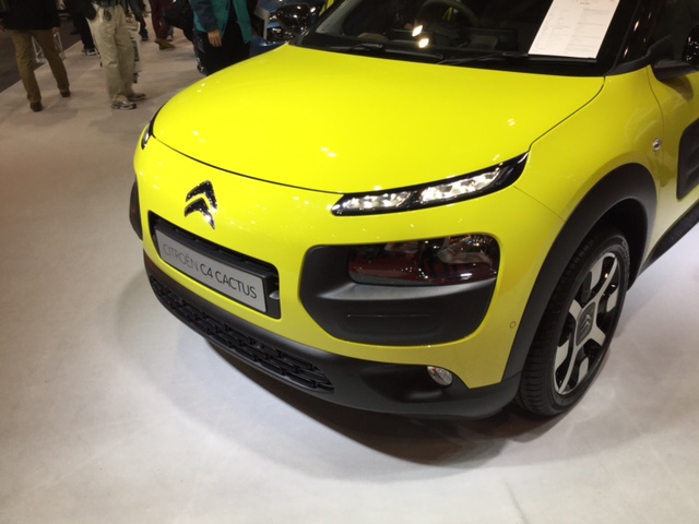 C4 CACTUS