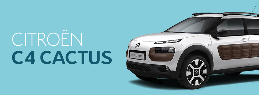 「C4 CACTUS WEEK」