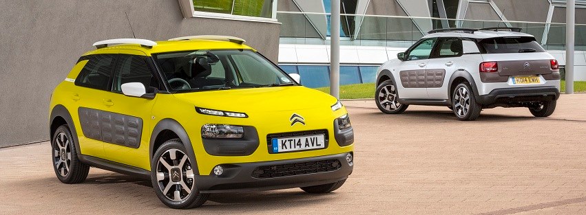 「C4 CACTUS WEEK」
