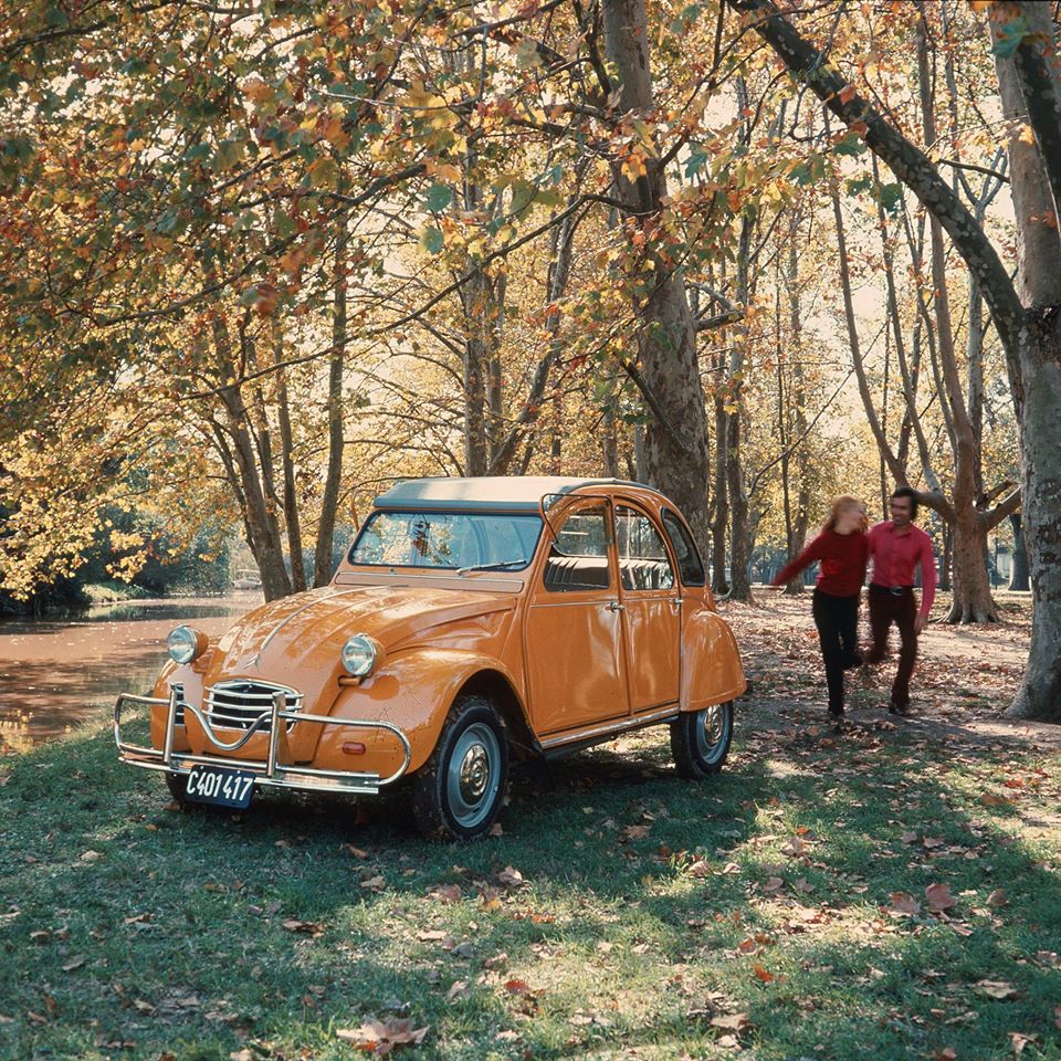 営業時間短縮のお知らせ（10/15）