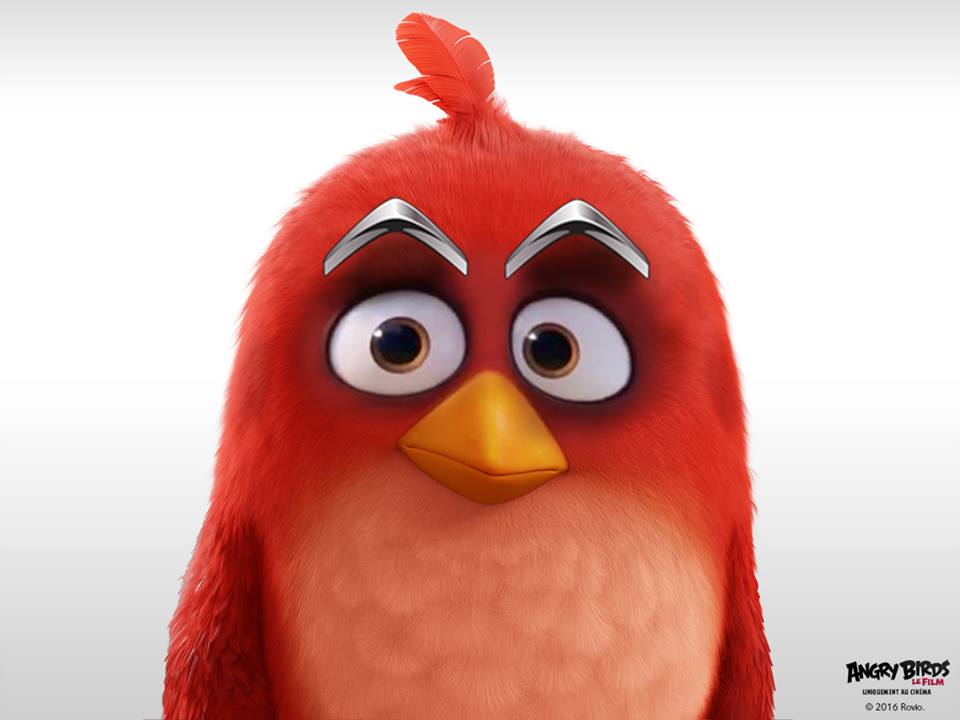 今日で最後です・・