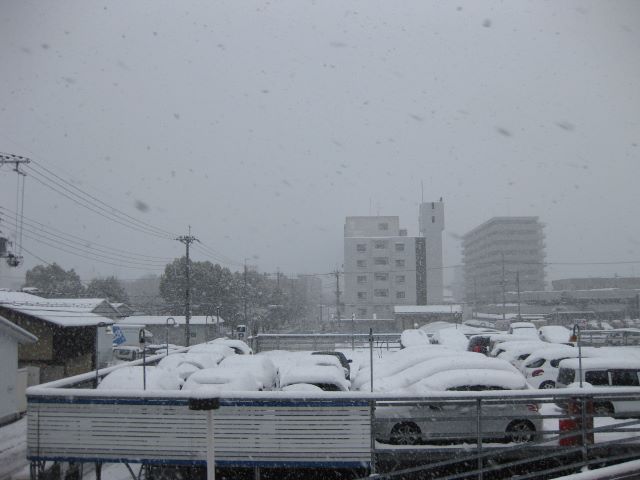 また雪ですか・・