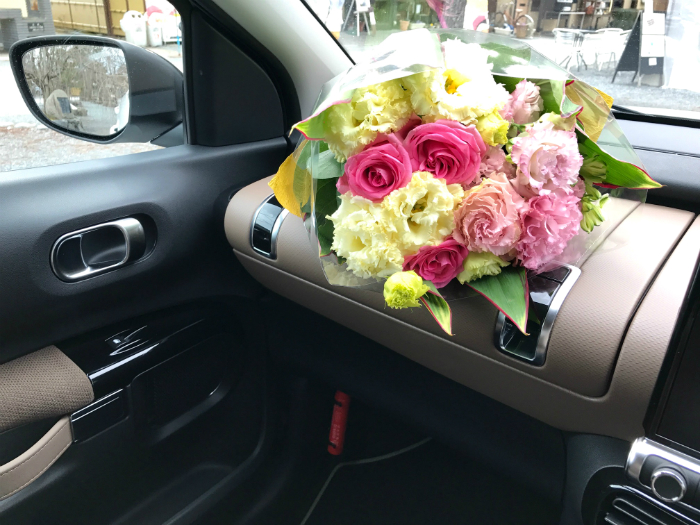 思い出の写真とC4 CACTUS