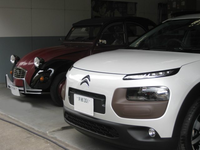 C4カクタスって・・