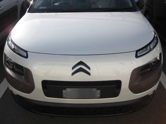 C4カクタスって・・