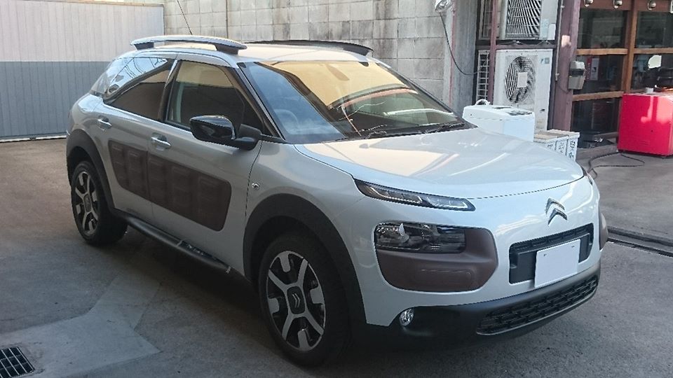 C4カクタス・・続き