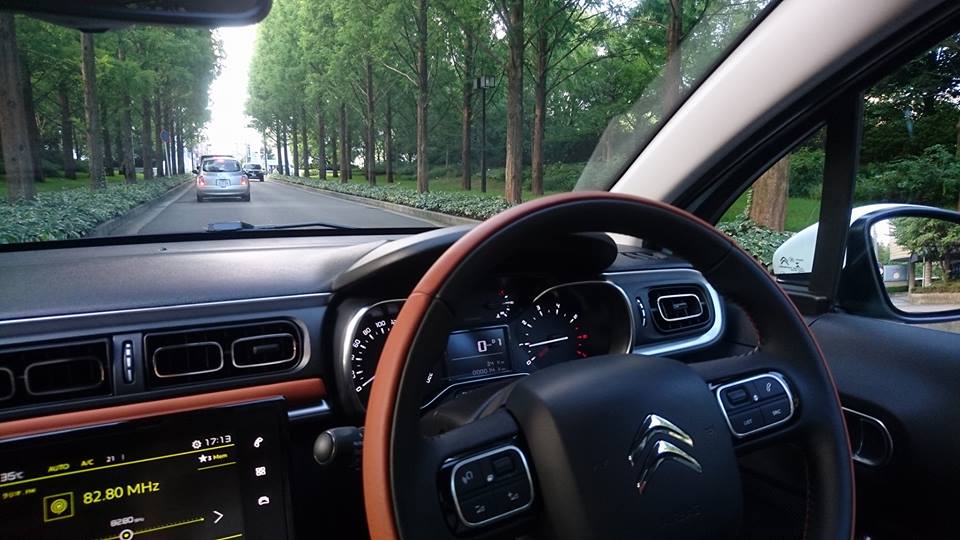 付け、掛け、入れたら乗れました