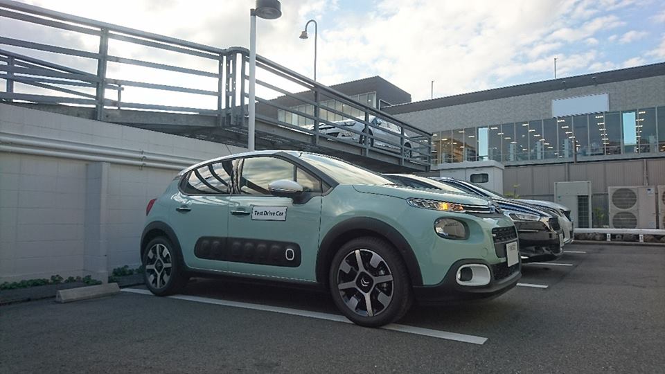 付け、掛け、入れたら乗れました