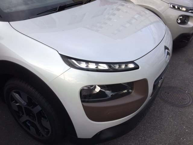 ザ・ラスト・ワン！