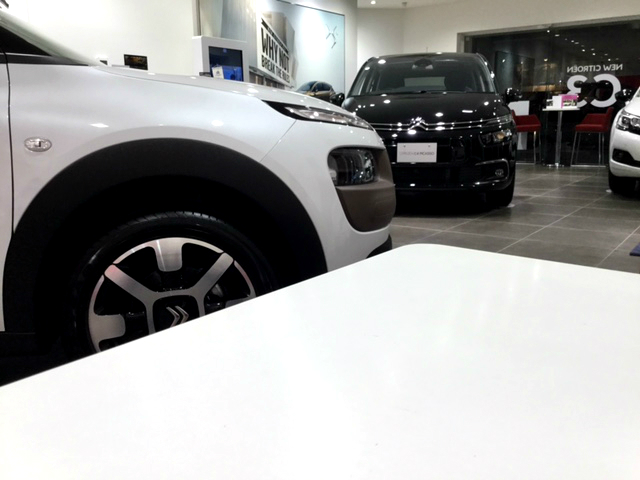 本日より通常営業スタートです！