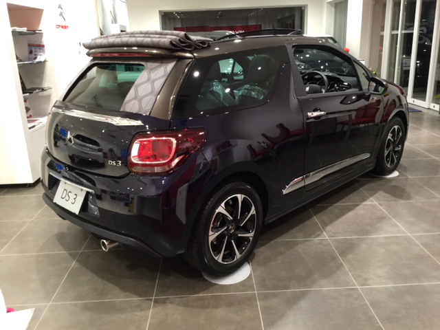 イルミネーション本日からスタート！