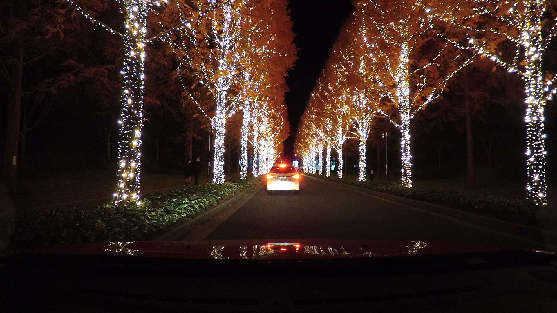 ConnectedCAMでイルミネーションに突入