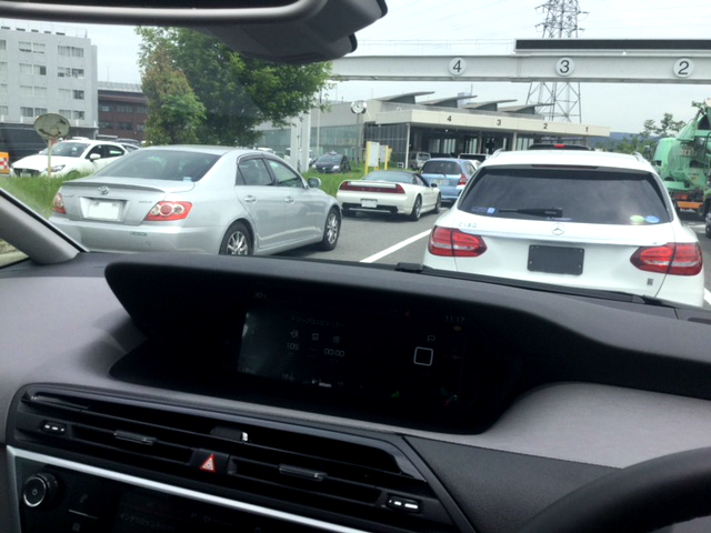 緊張の月末登録と、癒しの素のピカソ。