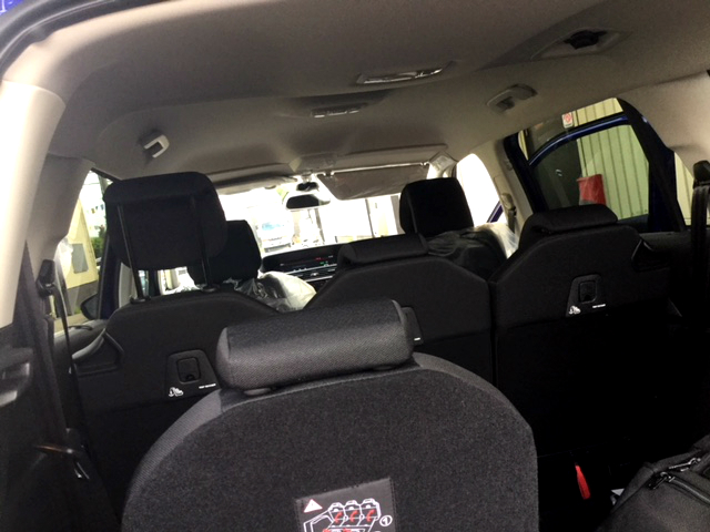 緊張の月末登録と、癒しの素のピカソ。