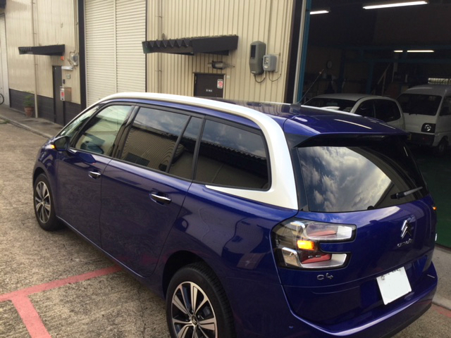 緊張の月末登録と、癒しの素のピカソ。