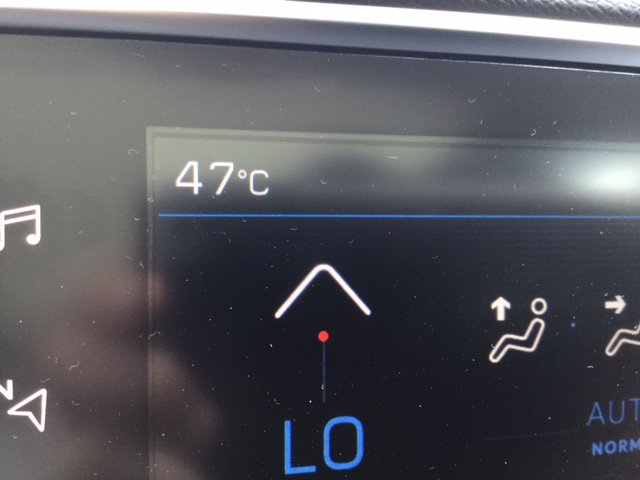 京都は暑いです。