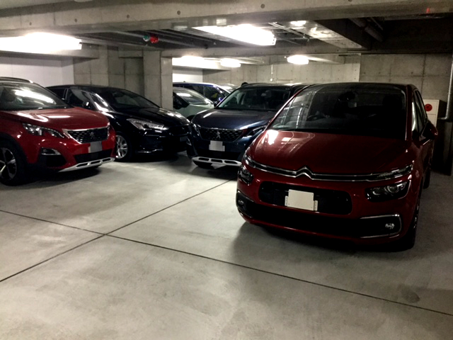 ザ・ラストワン！