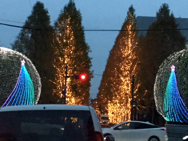 イルミネーションはじまりました！