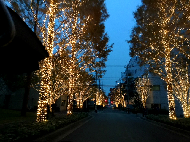 イルミネーションはじまりました！