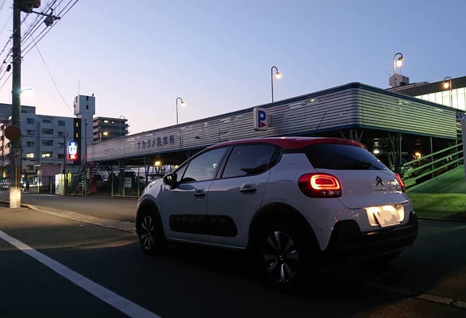 このチャンスをどうぞお見逃しなく！