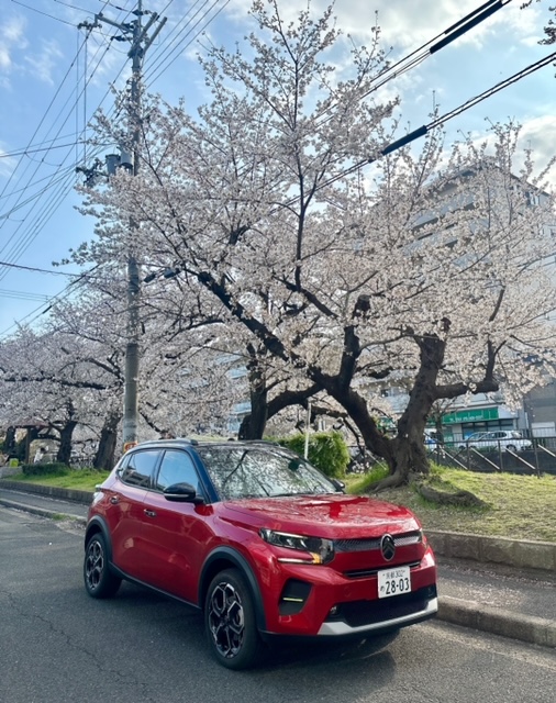 C3でドライブ🌸