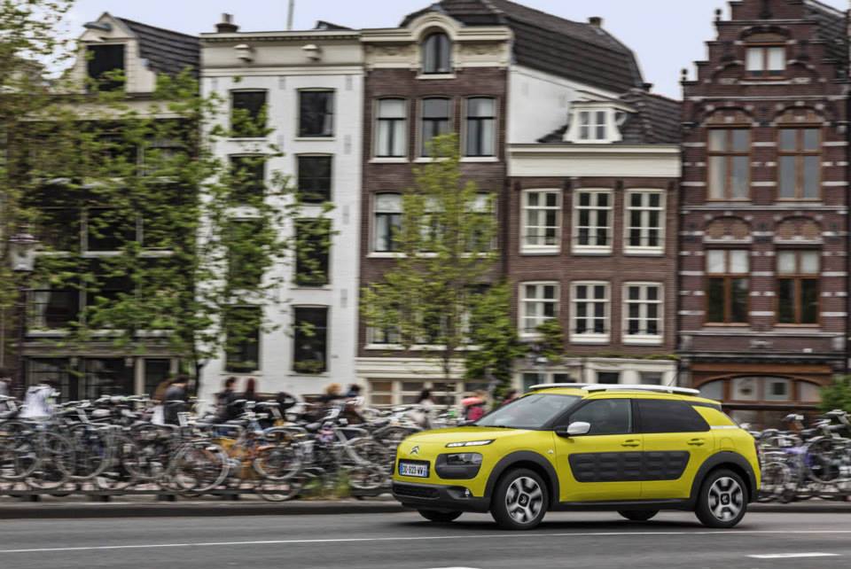 C4 Cactus　amsterdam