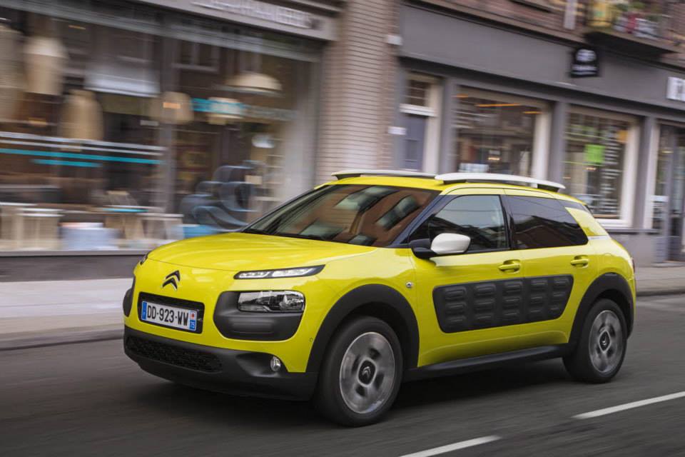 C4 Cactus　amsterdam