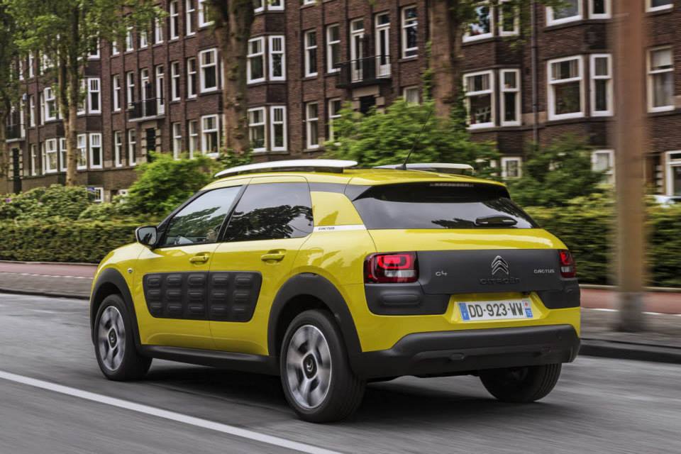 C4 Cactus　amsterdam