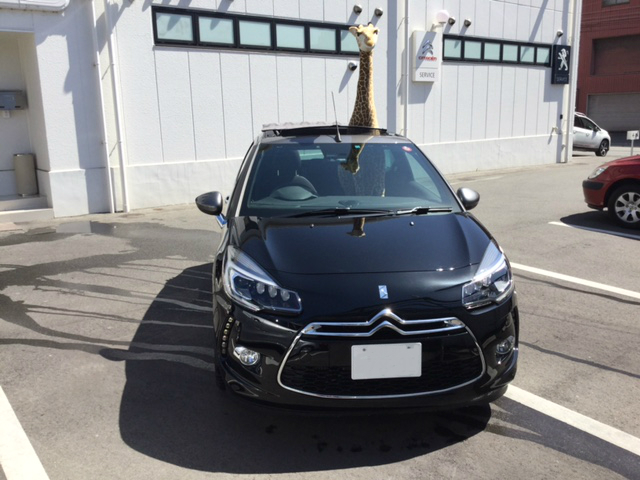 DS3 CABRIO 試乗車のご案内。