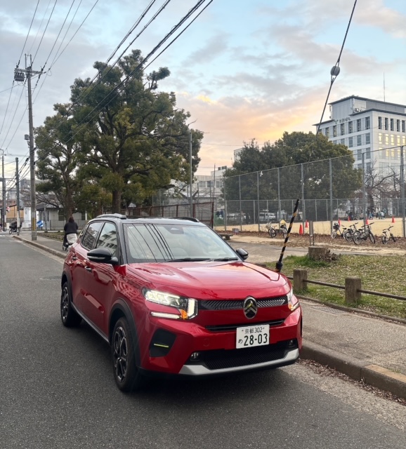 NEW　C3オススメ🦁