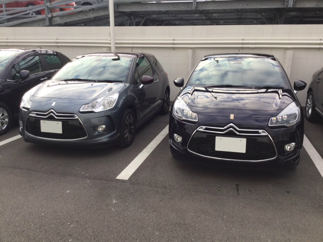 DS3 Edition 1955