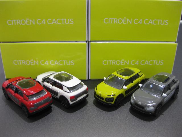 C4 CACTUS