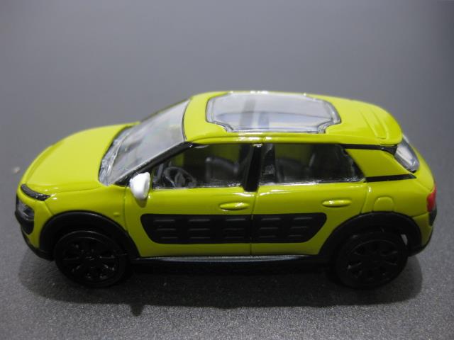 C4 CACTUS