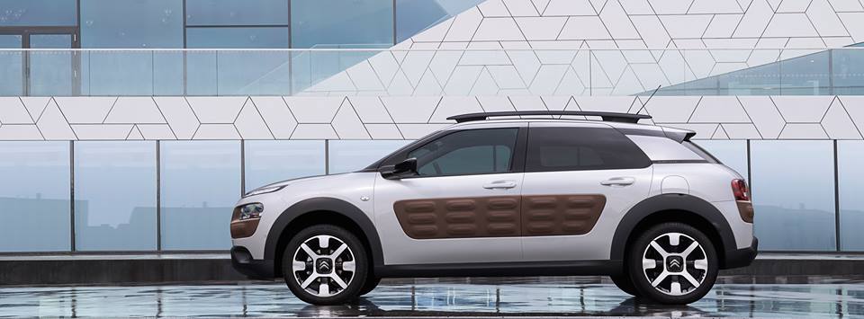 「C4 CACTUS WEEK」