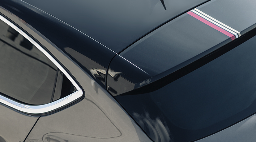 DS4 PERFORMANCE Line