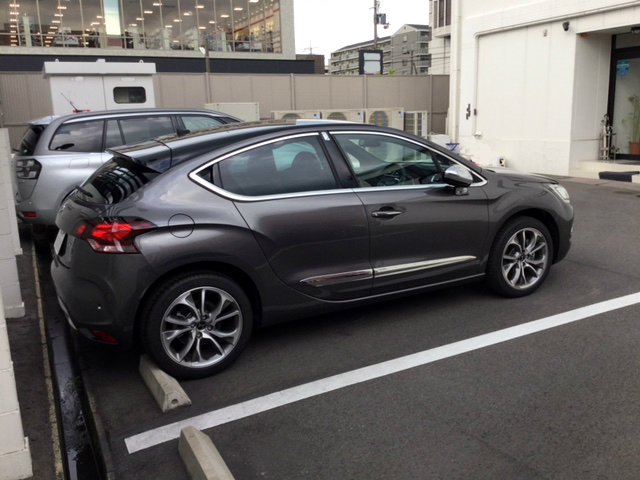 DS4 PERFORMANCE Line