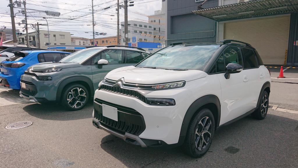 貴重な存在